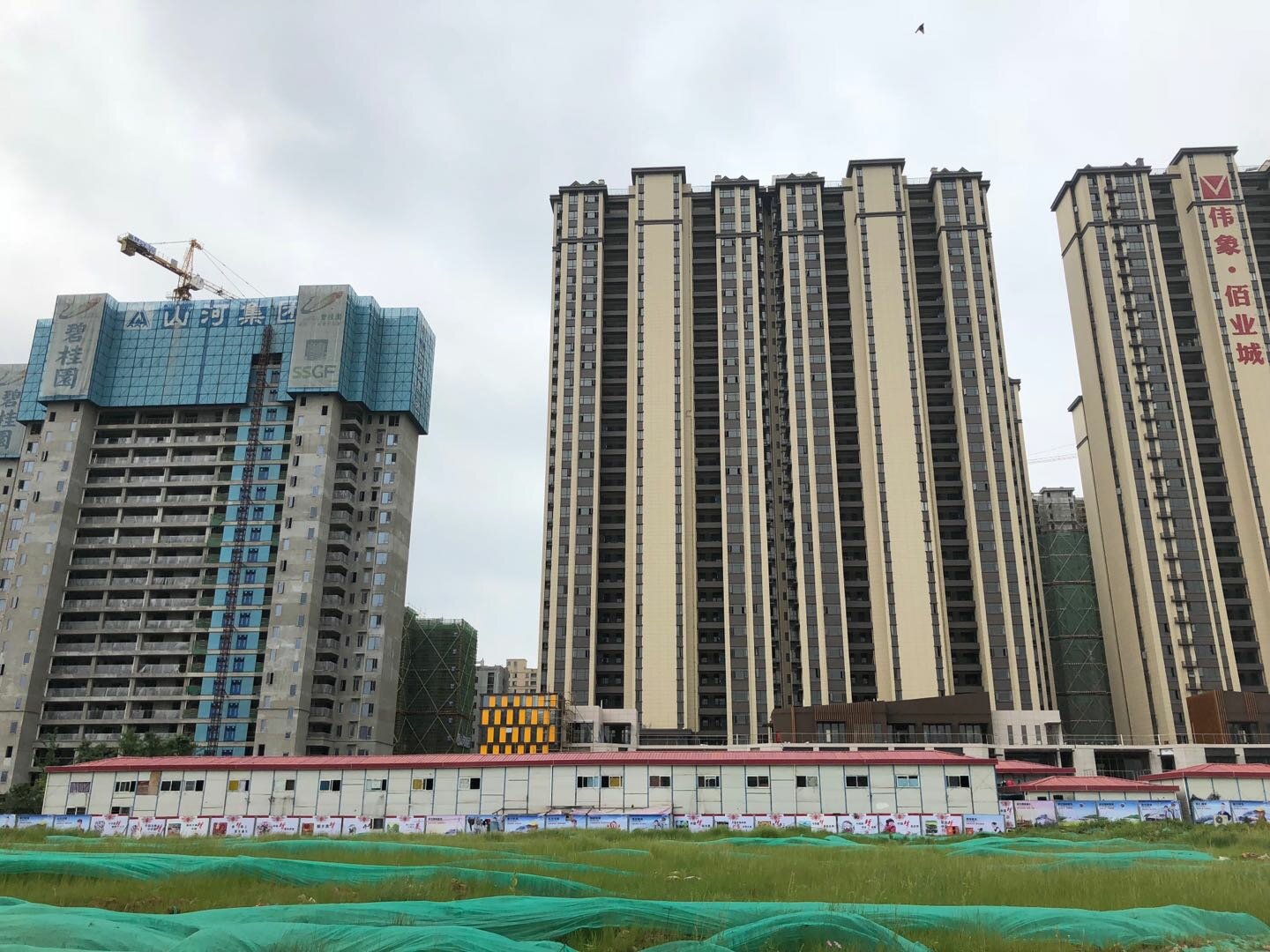 伟象 碧桂园